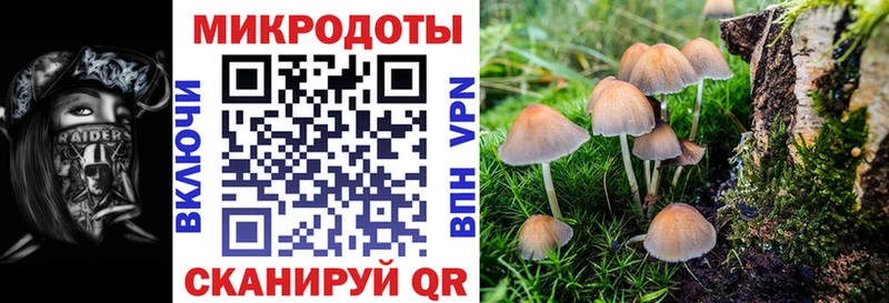 где купить наркоту  Арамиль  Галлюциногенные грибы Cubensis 